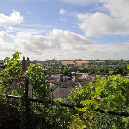 Charming Detached 2 Bedroom Ancient House In Medieval Quarter Of A Small Town In The Pays De La Loire, France Sillé-le-Guillaume المظهر الخارجي الصورة