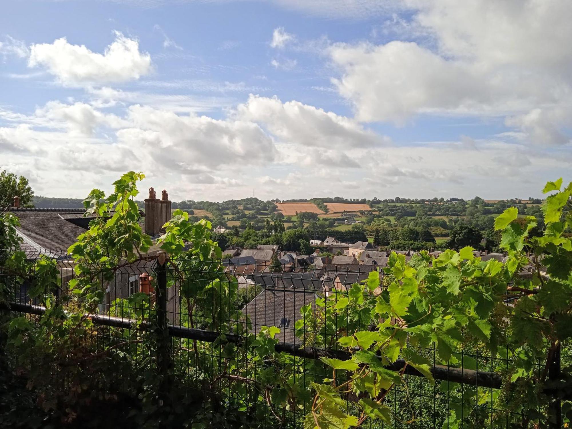 Charming Detached 2 Bedroom Ancient House In Medieval Quarter Of A Small Town In The Pays De La Loire, France Sillé-le-Guillaume المظهر الخارجي الصورة